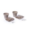 Set Pot de Fleurs Nertel