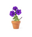 Flowerpot Soltax