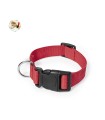 Pet Collar Mastif